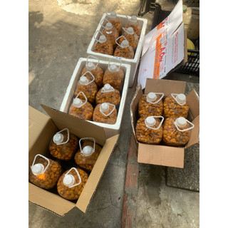 sỉ 5kg nước mơ ngâm đường