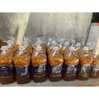 sỉ 5kg nước mơ ngâm đường