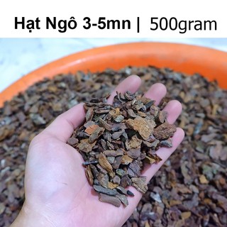 Vỏ thông trồng lan