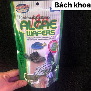 Thức ăn cho cá Hikari Algae Wafers
