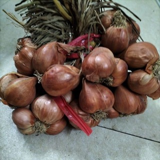 Hành khô , hành Bắc,hành Ta củ đẹp