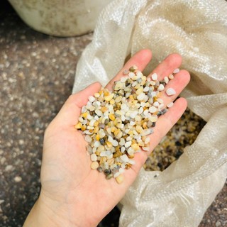 Sỏi suối 3 màu