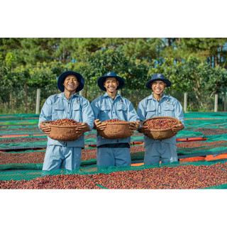 Cà phê Blend mix rang mộc  - Café de Măng Đen