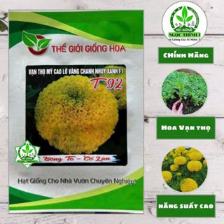  Hạt Giống Hoa Vạn Thọ Mỹ Cao Lỡ Vàng Chanh Nhụy Xanh F1 T92 TGGH - Bông to cổ lùn nhiều hoa 