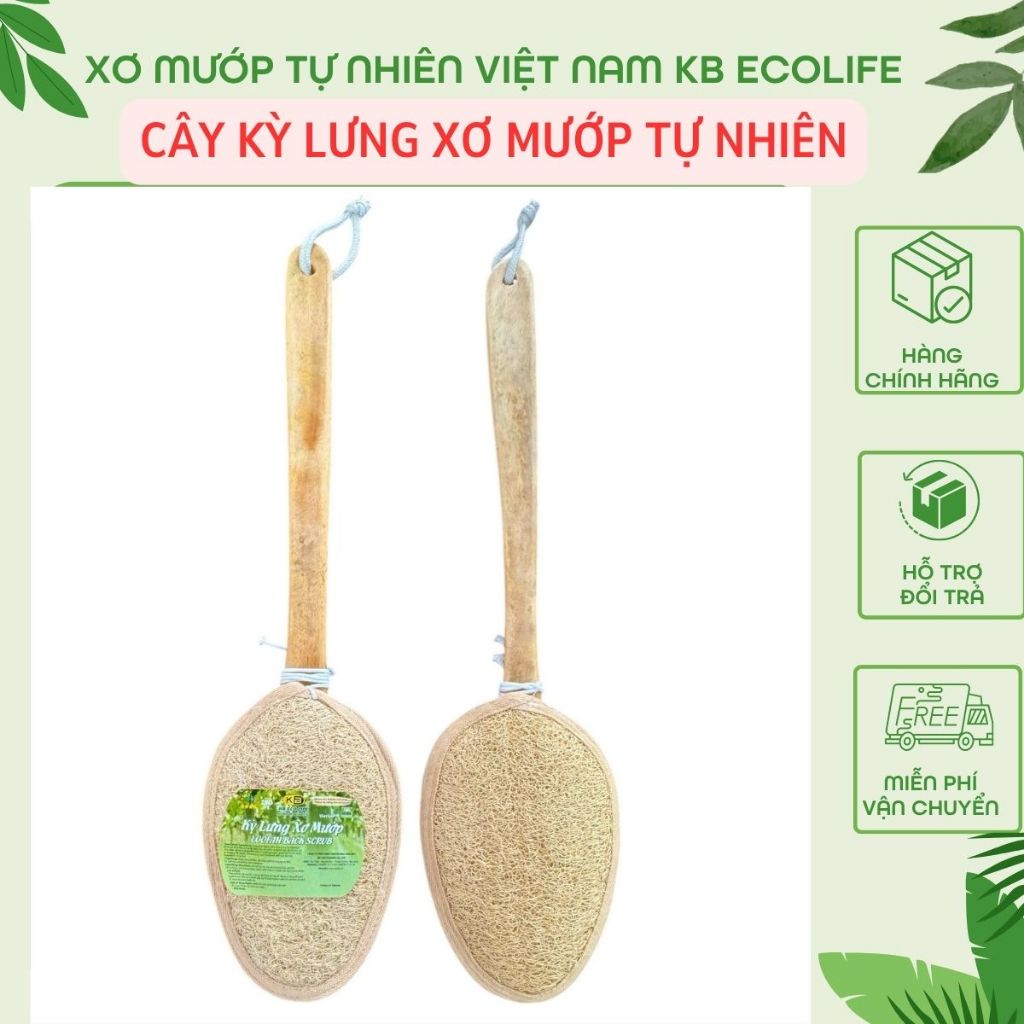 Cây Kỳ Lưng Xơ Mướp Tự Nhiên KB Ecolife (Cán dẹt 45cm) Làm Sạch Sâu Tẩy Da Chết Massage Da
