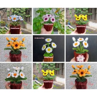  Chậu hoa cúc mini kẽm nhung để bàn cao 14cm ngang 7cm decor bàn học làm quà tặng trang trí nhà cửa siêu xinh Hule 
