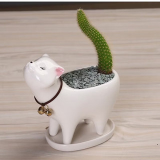 Set 2 chậu sứ trồng cây hình voi Dona He Decor