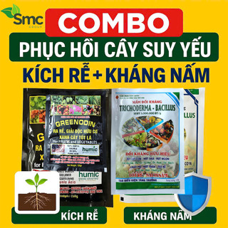 Combo Phục Hồi Cây Suy Yếu – Kích Rễ & Kháng Nấm | Dùng cho Hoa - Cây cảnh - Mai Vàng - Hoa Hồng - Hoa Lan - Bon sai
