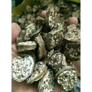 Chuối hột rừng sấy khô: chuối xanh sấy khô, chuối Tây Nguyên và chuối ép bánh không chất bảo quản