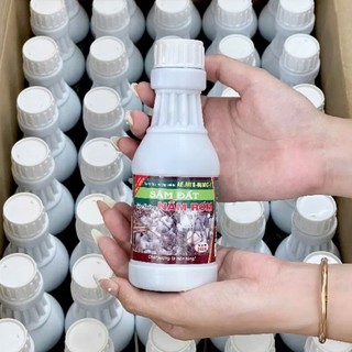 SÂM ĐẤT NẤM RƠM 240 ml - Dinh Dưỡng Nấm Rơm - Kích Tạo Quả Thể