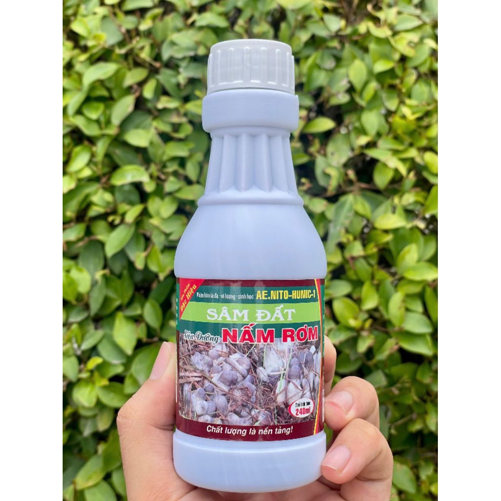 SÂM ĐẤT NẤM RƠM 240 ml - Dinh Dưỡng Nấm Rơm - Kích Tạo Quả Thể