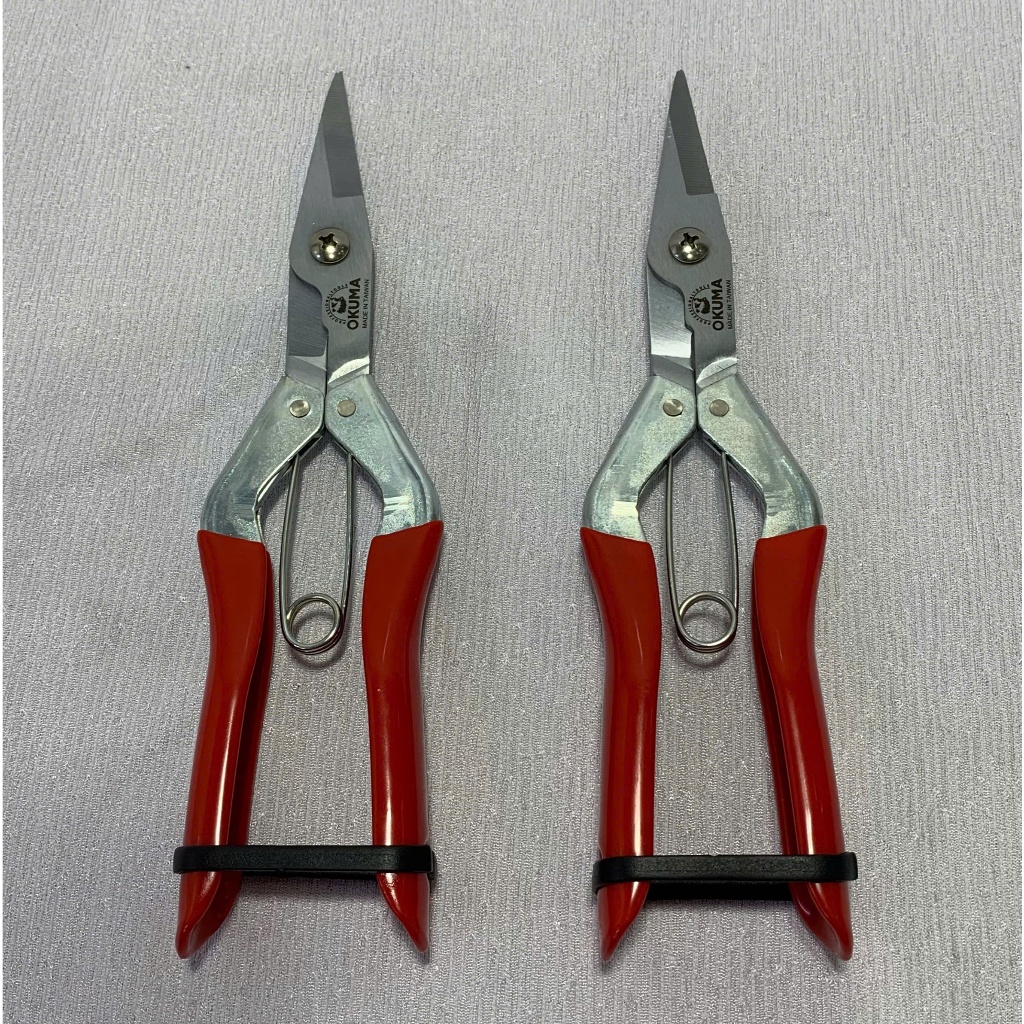 Kéo cắt quả thanh long TAIWAN OKUMA