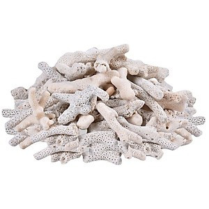 San hô vụn – vật liệu lọc nước hồ cá, thích hợp bể thủy sinh