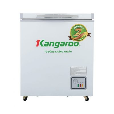 Tủ đông 90L 1 ngăn 1 cánh không kính KG168NC1