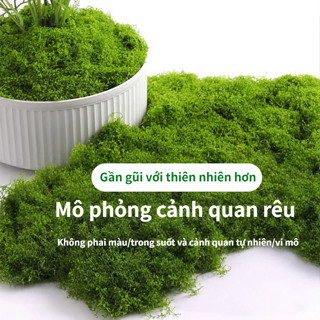  Rêu giả,Thảm rêu nhân tạo có thể dùng để trang trí tiểu cảnh cây bụi tường cỏ phông nền hoa 