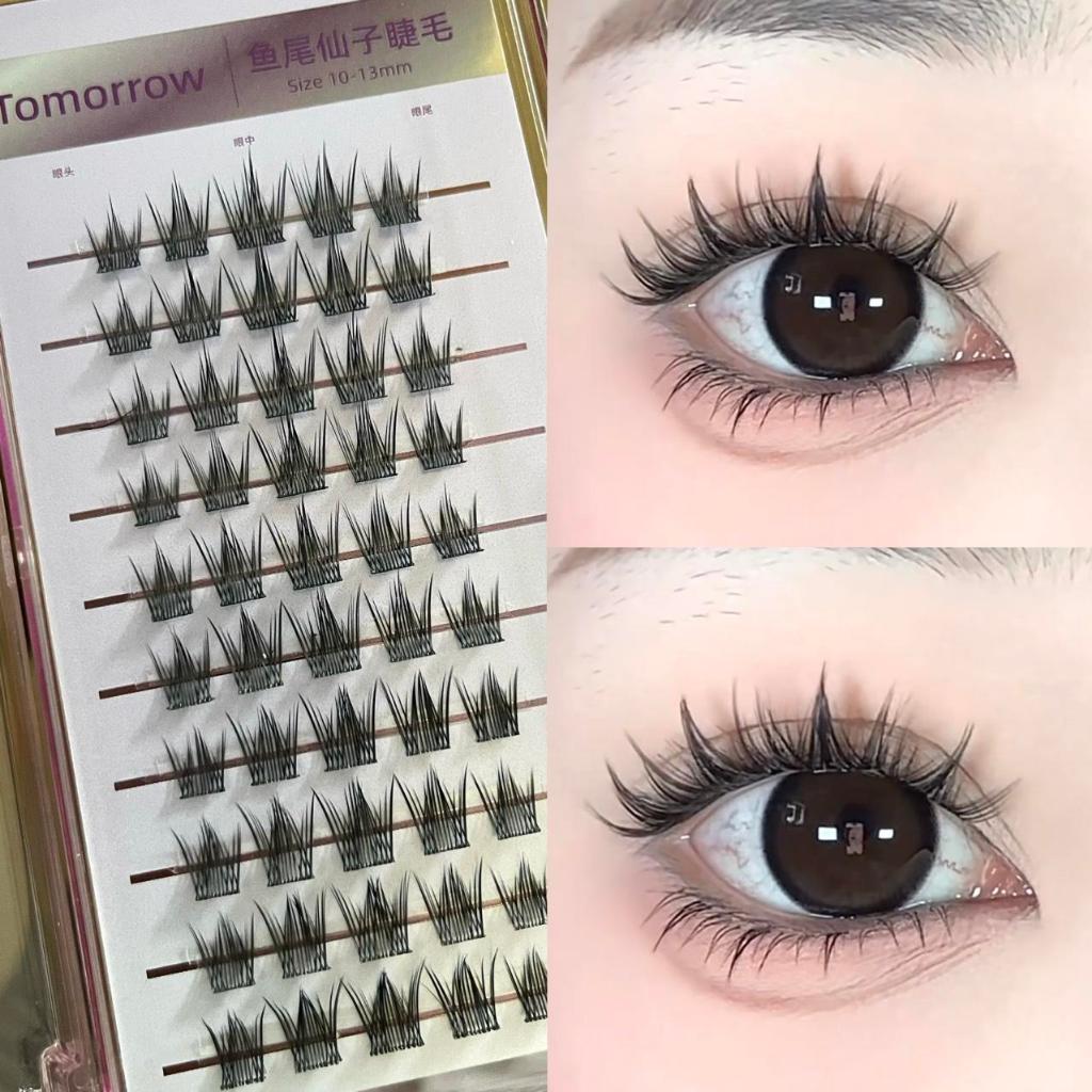 Mi Đuôi CáTím 12mm Tự Nhiên