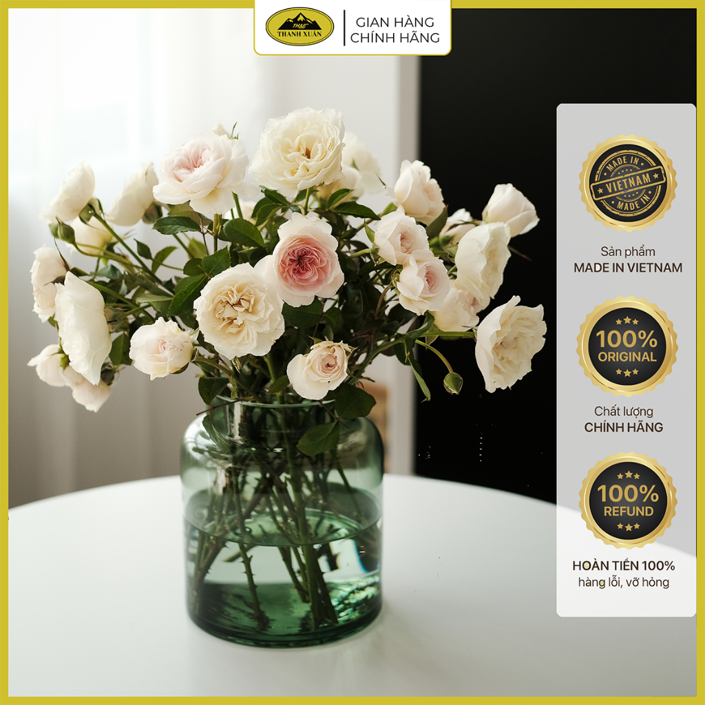 Lọ thủy tinh cổ thấp cổ cao, lọ hoa thủy tinh Thanh Xuân TXG cắm hoa, nuôi cá, decor chất lượng cao cấp nhiều kích thước