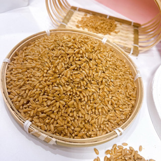 1Kg Hạt Lúa Mì Đã Tách Vỏ dùng làm sữa, ngũ cốc, bánh mì, nấu cháo