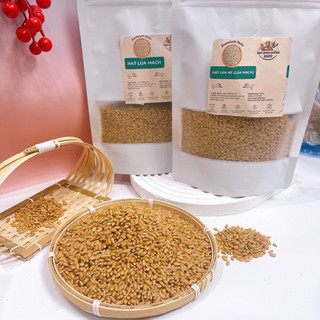 1Kg Hạt Lúa Mì Đã Tách Vỏ dùng làm sữa, ngũ cốc, bánh mì, nấu cháo