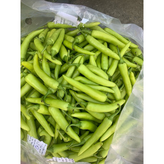 1kg Ớt sừng xanh tươi, cay, thơm, giòn, chuẩn ớt Huế nhà trồng