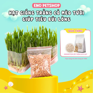 Hạt Giống Cỏ mèoCatnip Hỗ Trợ Tiêu Búi Lông Cho Mèo – Giúp Bé Thải Lông Tự Nhiên | Eno PetShop