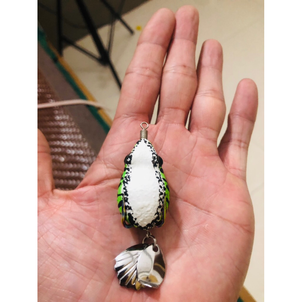 Mồi hơi câu cá f38, độ hình nff