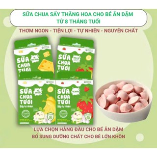 [ GIÁ SIÊU TỐT - MẪU MỚI ] Sữa chua khô sấy lạnh Anpaso ít đường lợi khuẩn cho bé không chứa chất bảo quản