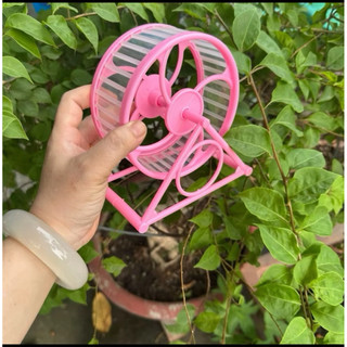 whell  tập  thể  dục  cho hamster 12.5cm