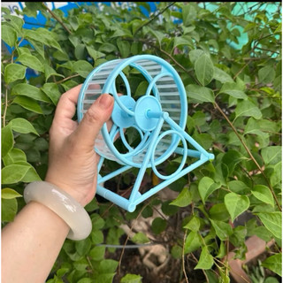 whell  tập  thể  dục  cho hamster 12.5cm
