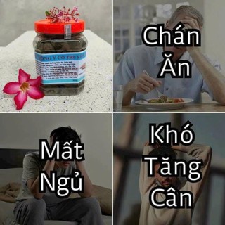 THẢO MỘC HỖ TRỢ TĂNG CÂN