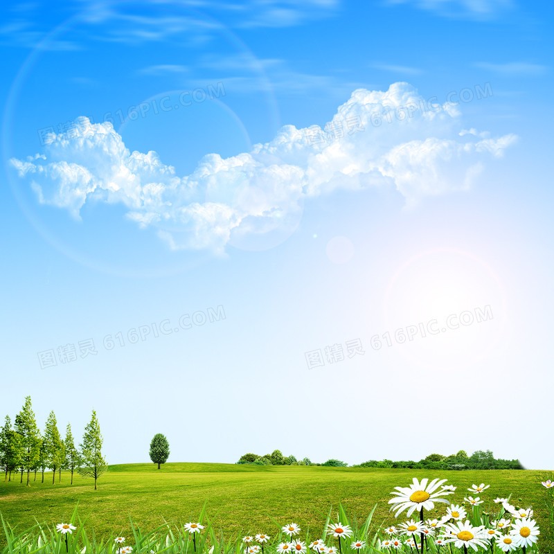Hình nền phong cách Bắc Âu hình nền không dệt hình nền hình nền tranh tường