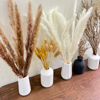 Lọ Hoa Và Hoa Khô Phong Cách Đơn Giản, Hiện Đại Fishy Decor