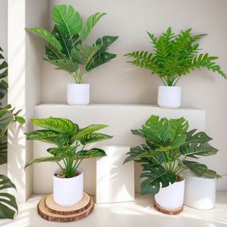 Chậu cây xanh giả hình rùa trang trí nội thất phòng khách bàn làm việc trang trí chậu hoa giả