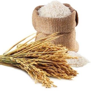 Bột cám gạo sữa thiên nhiên dưỡng trắng da & mờ thâm