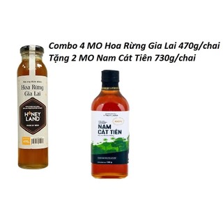 COMBO 4 Mật Ong Hoa Rừng Gia Lai 470g/hchai + 2 Chai Mật Ong Cát Tiên 730g/chai