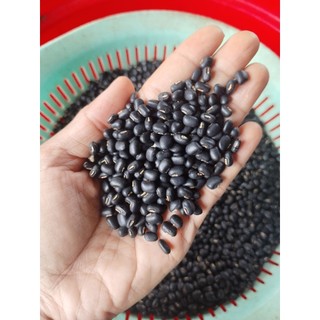 1kg đậu đen xanh lòng hạt nhỏ
