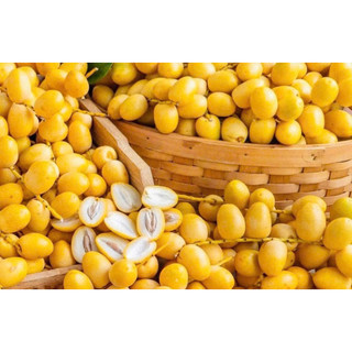 (Hỏa tốc HCM) CHÀ LÀ TƯƠI NHẬP KHẨU
