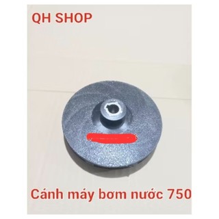 Cánh nước máy bơm 750W