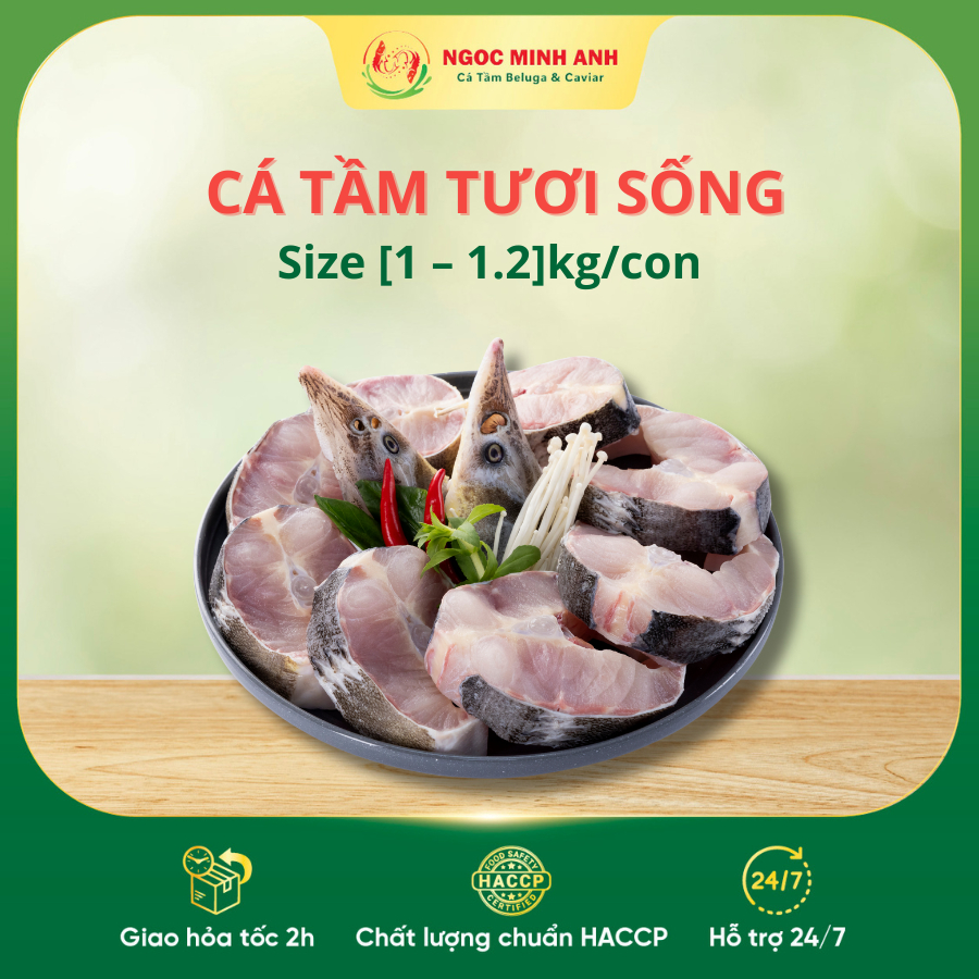 Cá Tầm sống 1kg