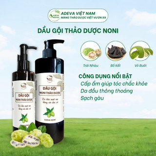 Dầu Gội Hỗ Trợ Bết Dầu, Gàu Nấm ADEVA 250ml/500ml, Chiết Xuất Trái Nhàu Và Dược Liệu thiên nhiên