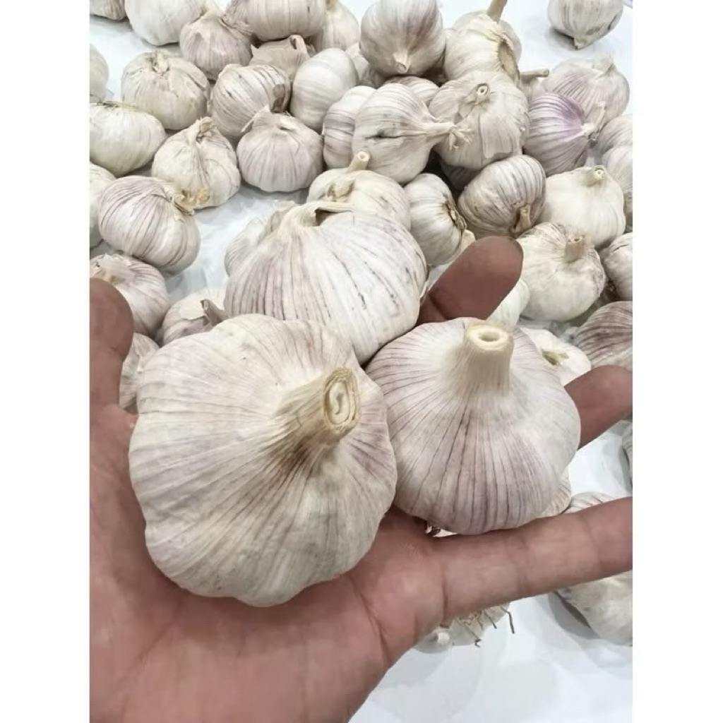 Tỏi sấy khô loại 1