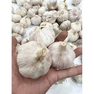 Tỏi sấy khô loại 1