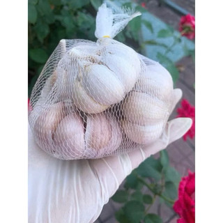 Tỏi sấy khô loại 1
