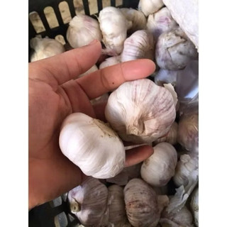 Tỏi sấy khô loại 1