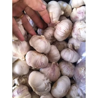 Tỏi sấy khô loại 1