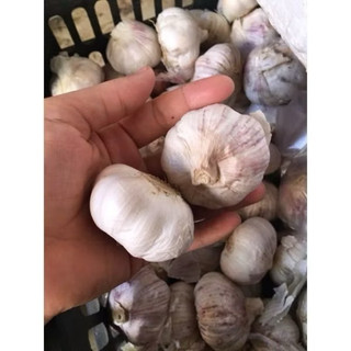 Tỏi sấy khô loại 1
