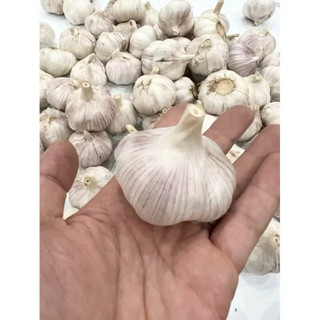 Tỏi sấy khô loại 1