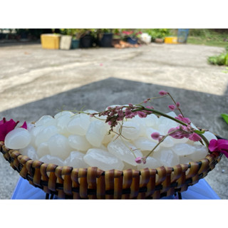  1kg Hạt Đác NON mềm 