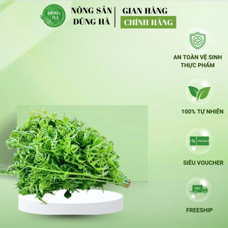 Rau Dớn Tươi Rừng – Đặc Sản Tây Bắc – Giòn Mát, Ăn Là Ghiền