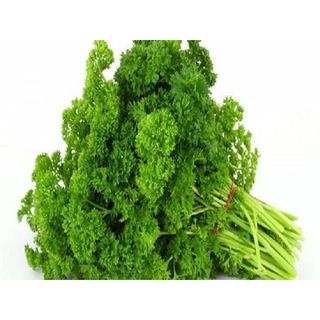 [Chỉ Giao HCM] Ngò Tây - 50g